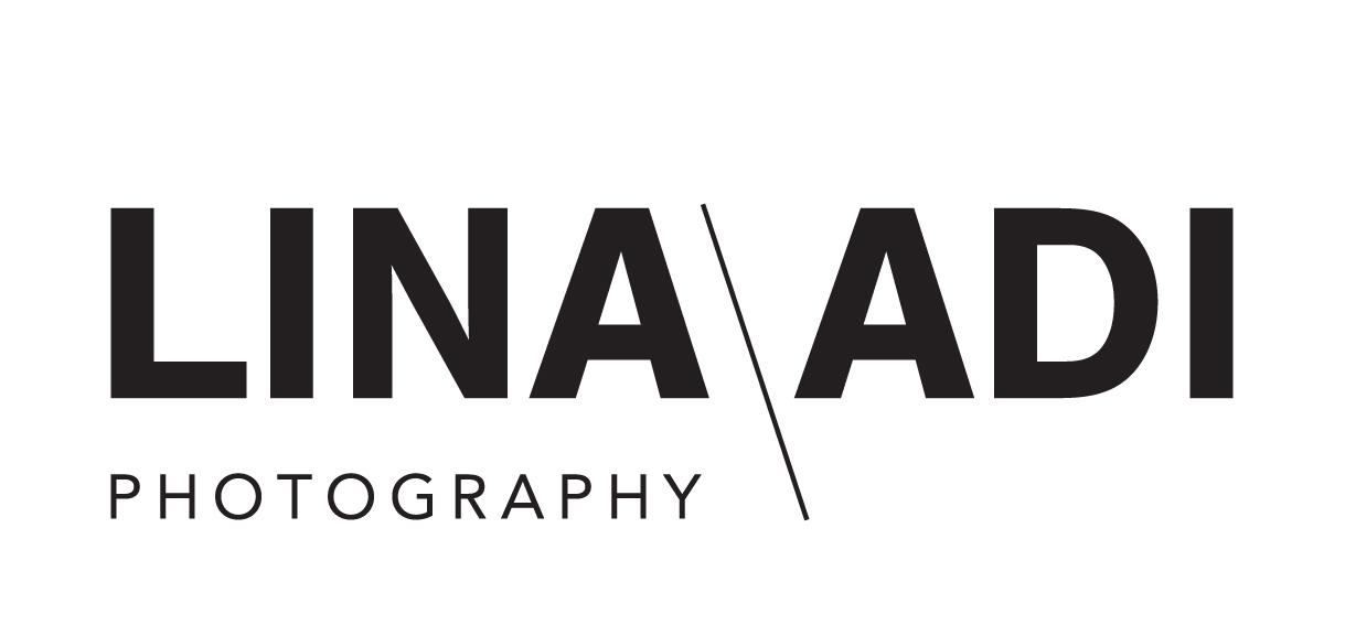 flina-adi_logo
